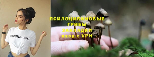 spice Богородск