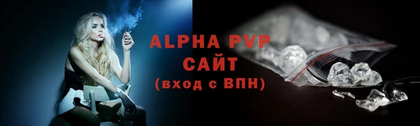 a pvp Бородино