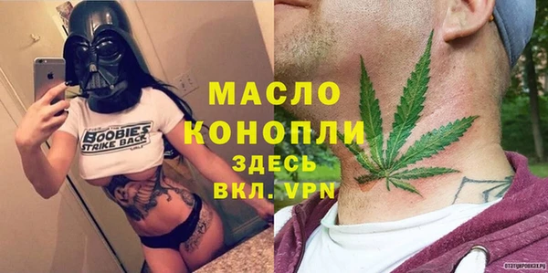 a pvp Бородино