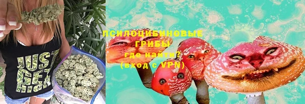 spice Богородск