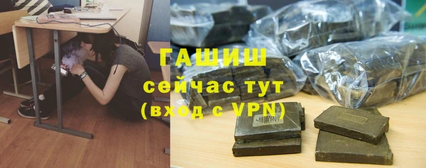 a pvp Бородино