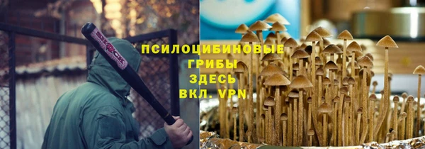 a pvp Бородино
