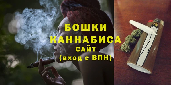 a pvp Бородино