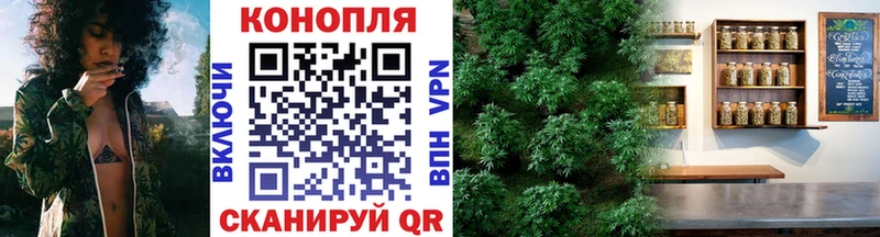 Шишки марихуана OG Kush мега как зайти Карабаново